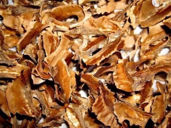 Presenetljivo veliko zdravja skritega v orehovih luščinah